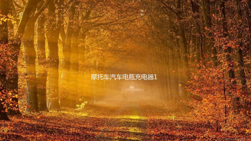 摩托车汽车电瓶充电器12v24v伏蓄电池修复型大功率启停电瓶充电机