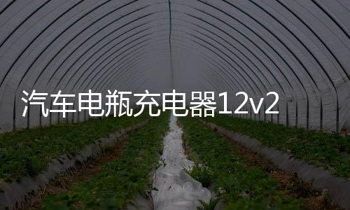 汽车电瓶充电器12v24v智能脉冲修复快速充电机摩托车电瓶充电器